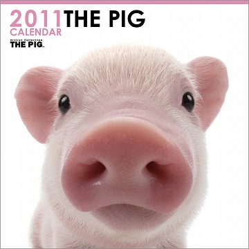 2010年版　THE PIG