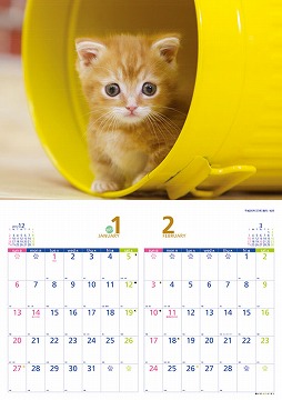 子猫のマンチカン　カレンダー