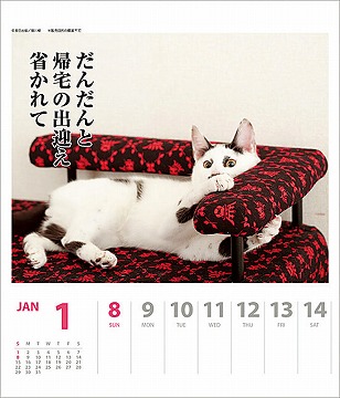 猫川柳　カレンダー